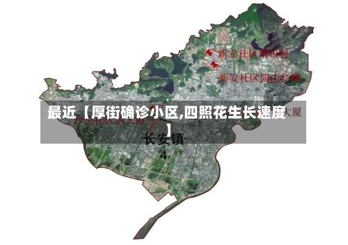 最近【厚街确诊小区,四照花生长速度】-第2张图片