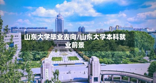 山东大学毕业去向/山东大学本科就业前景