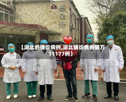 【湖北的确诊病例,湖北确诊病例破万11177例】