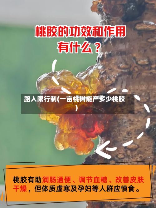 路人限行制(一亩桃树能产多少桃胶)-第2张图片
