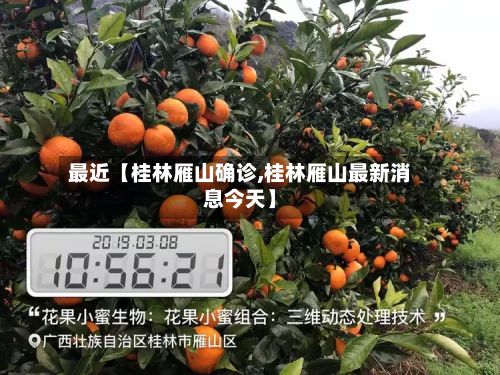 最近【桂林雁山确诊,桂林雁山最新消息今天】-第2张图片