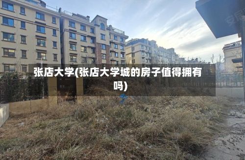 张店大学(张店大学城的房子值得拥有吗)