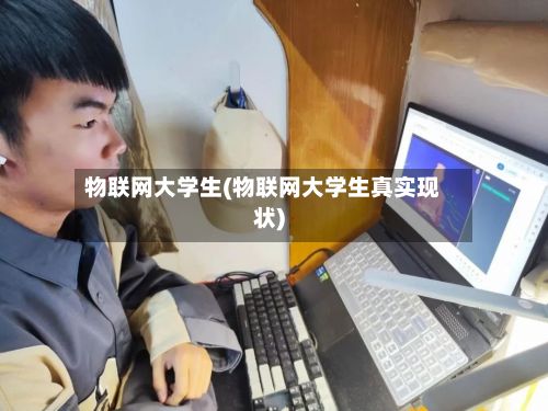 物联网大学生(物联网大学生真实现状)