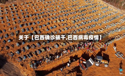 关于【巴西确诊破千,巴西病毒疫情】-第2张图片