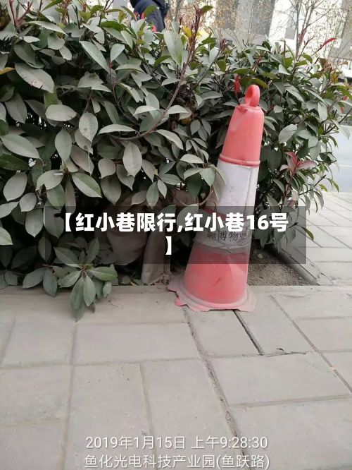 【红小巷限行,红小巷16号】-第2张图片