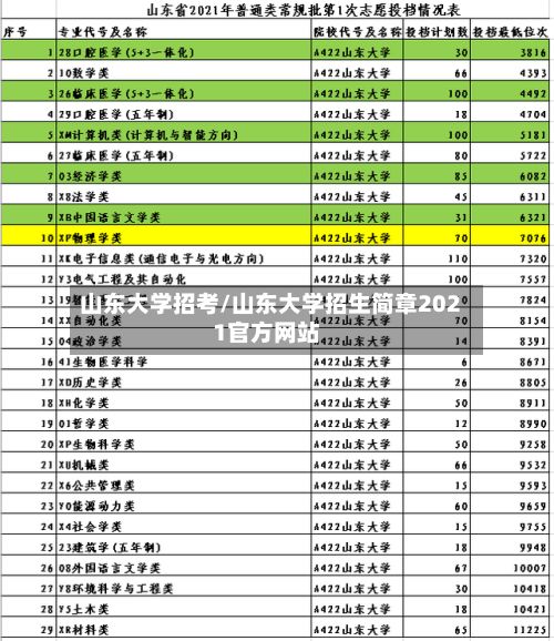 山东大学招考/山东大学招生简章2021官方网站-第3张图片