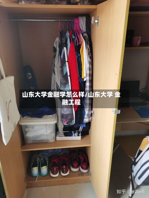 山东大学金融学怎么样/山东大学 金融工程