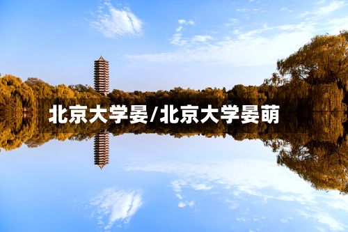 北京大学晏/北京大学晏萌