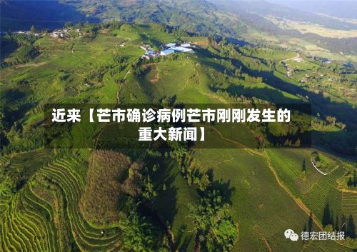 近来【芒市确诊病例芒市刚刚发生的重大新闻】