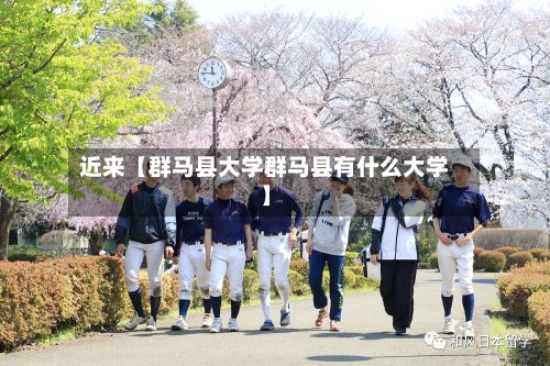 近来【群马县大学群马县有什么大学】-第2张图片