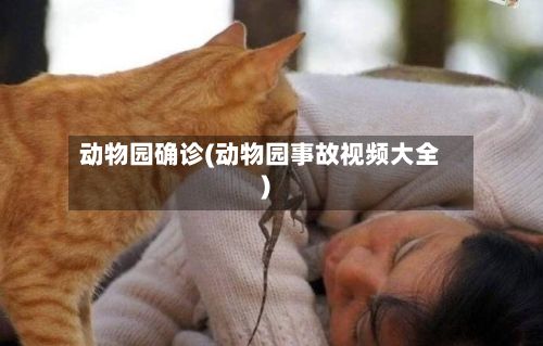动物园确诊(动物园事故视频大全)-第2张图片