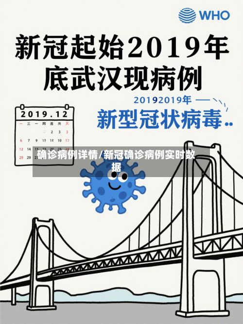 确诊病例详情/新冠确诊病例实时数据-第2张图片