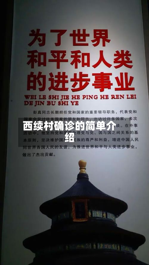 西续村确诊的简单介绍