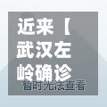 近来【武汉左岭确诊武汉左岭新村开发有限公司】