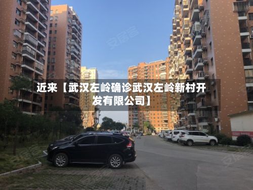 近来【武汉左岭确诊武汉左岭新村开发有限公司】-第2张图片