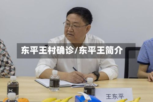 东平王村确诊/东平王简介-第2张图片