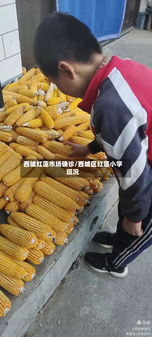 西城红莲市场确诊/西城区红莲小学现况-第2张图片