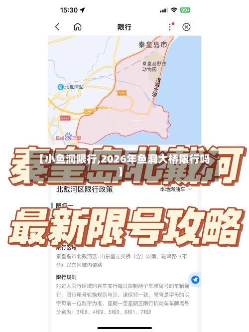 【小鱼洞限行,2026年鱼洞大桥限行吗】-第3张图片