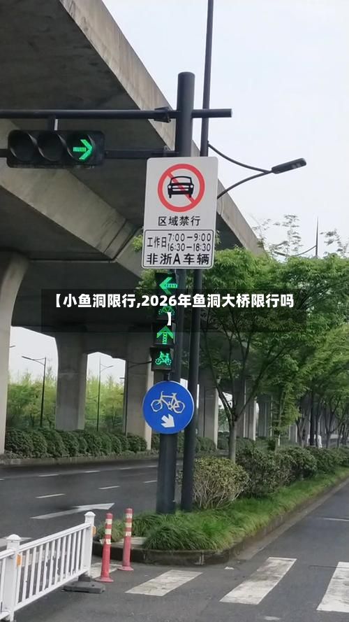 【小鱼洞限行,2026年鱼洞大桥限行吗】