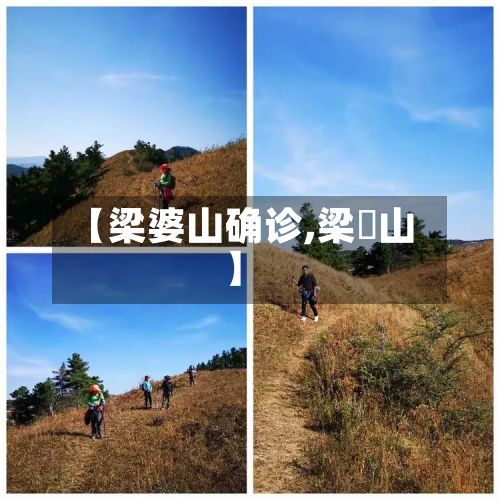 【梁婆山确诊,梁啟山】-第2张图片