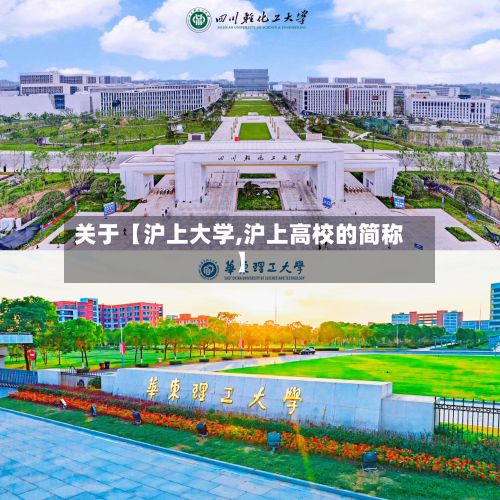 关于【沪上大学,沪上高校的简称】-第3张图片