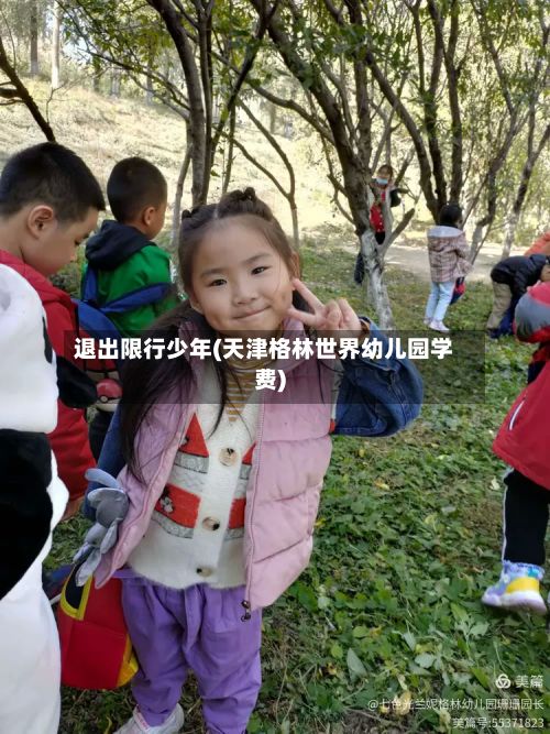 退出限行少年(天津格林世界幼儿园学费)-第2张图片