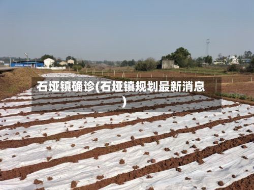 石垭镇确诊(石垭镇规划最新消息)