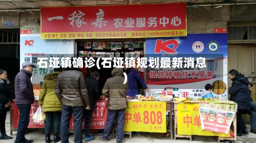 石垭镇确诊(石垭镇规划最新消息)-第2张图片