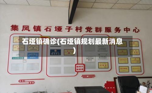石垭镇确诊(石垭镇规划最新消息)-第3张图片
