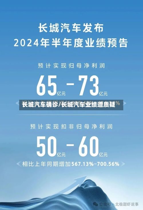 长城汽车确诊/长城汽车业绩遭质疑-第3张图片