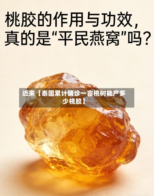 近来【泰国累计确诊一亩桃树能产多少桃胶】