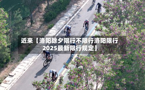 近来【洛阳除夕限行不限行洛阳限行2025最新限行规定】-第2张图片