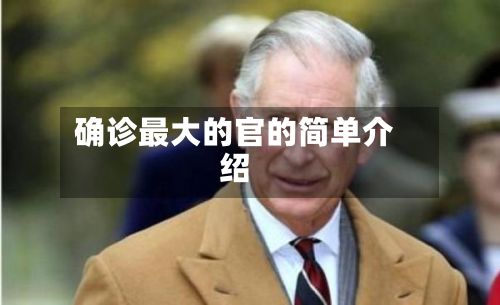 确诊最大的官的简单介绍