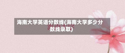 海南大学英语分数线(海南大学多少分数线录取)