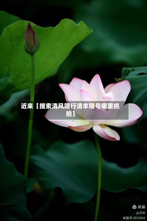 近来【搜索清风限行清丰限号哪里抓拍】