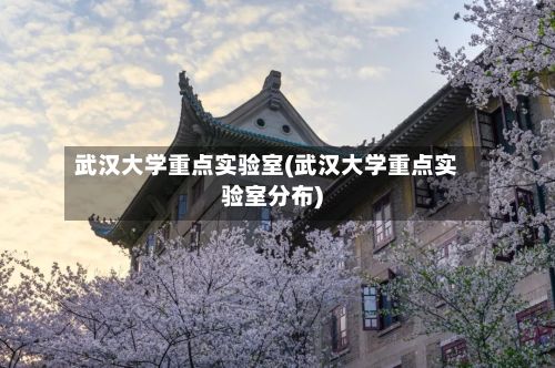 武汉大学重点实验室(武汉大学重点实验室分布)-第2张图片