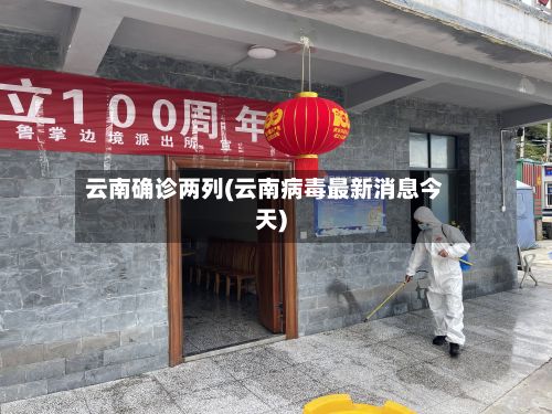 云南确诊两列(云南病毒最新消息今天)-第3张图片