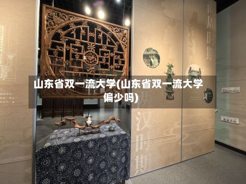 山东省双一流大学(山东省双一流大学偏少吗)-第2张图片