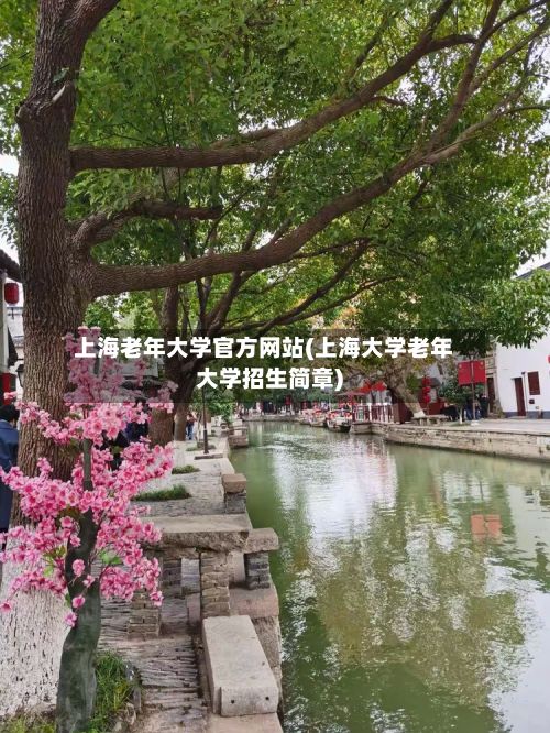 上海老年大学官方网站(上海大学老年大学招生简章)-第2张图片