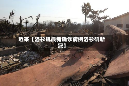 近来【洛杉矶最新确诊病例洛杉矶新冠】-第3张图片