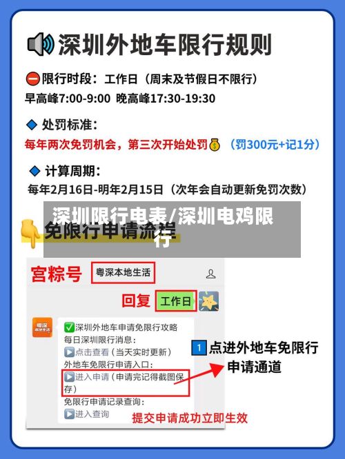 深圳限行电表/深圳电鸡限行