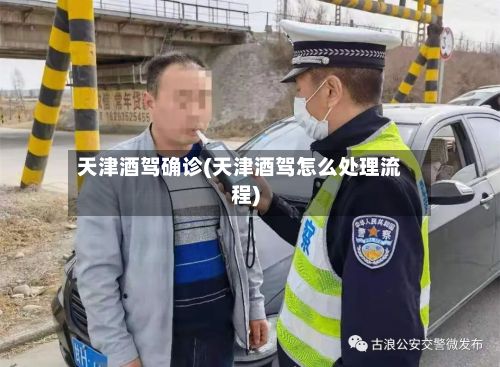 天津酒驾确诊(天津酒驾怎么处理流程)-第2张图片