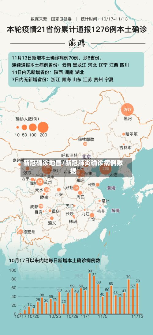 新冠确诊地图/新冠肺炎确诊病例数据-第2张图片