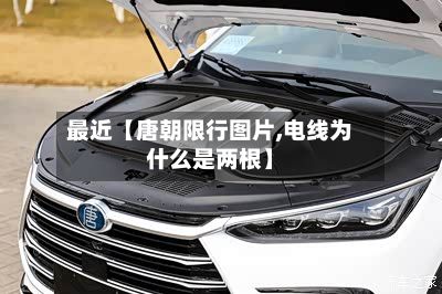 最近【唐朝限行图片,电线为什么是两根】-第2张图片