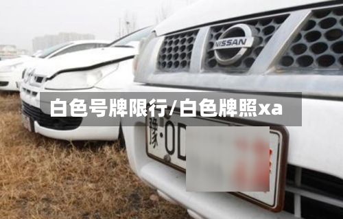 白色号牌限行/白色牌照xa