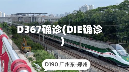 D367确诊(DIE确诊)