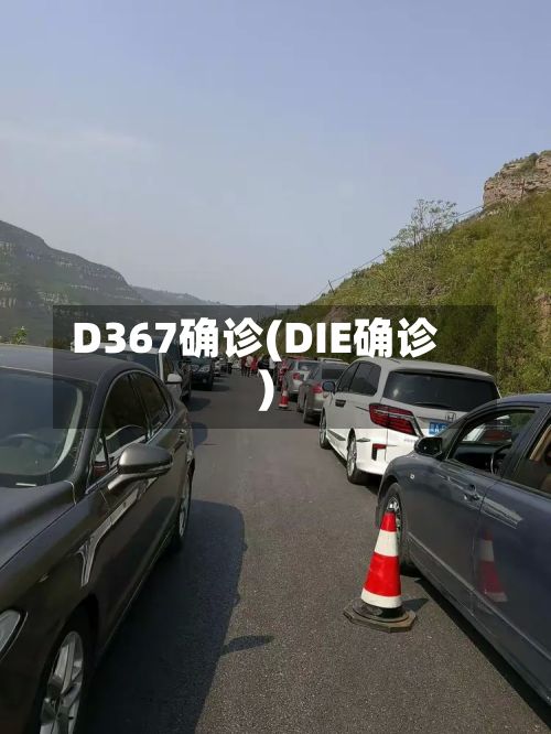 D367确诊(DIE确诊)-第3张图片