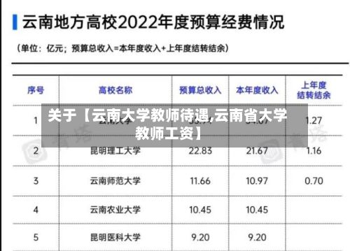 关于【云南大学教师待遇,云南省大学教师工资】