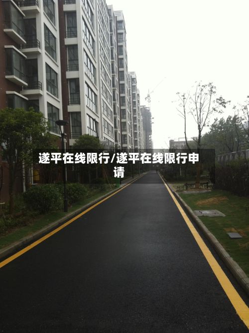 遂平在线限行/遂平在线限行申请