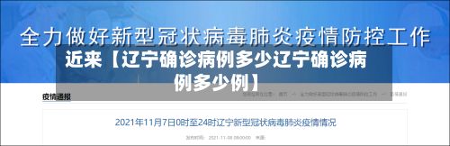 近来【辽宁确诊病例多少辽宁确诊病例多少例】